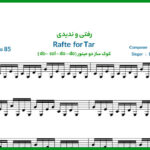 نت تار رفتی و ندیدی از الهه