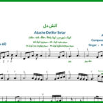 نت سه تار آتش دل از معین