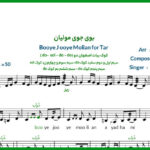 نت تار بوی جوی مولیان مرضیه و بنان