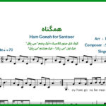 نت سنتور همگناه از سوگند