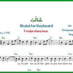 نت کیبورد شالت از راغب