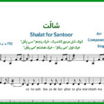 نت سنتور شالت از راغب