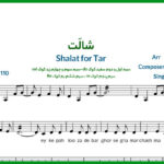 نت تار شالت از راغب