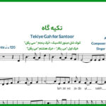 نت سنتور تکیه گاه از شادمهر