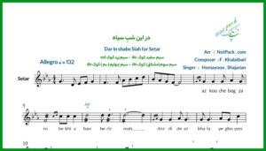 نت سه تار در این شب سیاه همایون شجریان