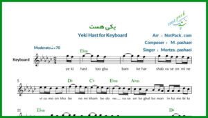 نت کیبورد یکی هست از پاشایی