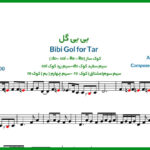 نت تار بی بی گل از معین