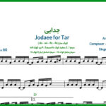 نت تار جدایی از افسر شهیدی