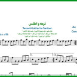 نت سنتور ترمه و اطلس از معین
