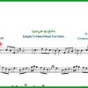 نت ویولن بگذر ز من ای آشنا از عارف