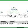 نت تار سفر از معین