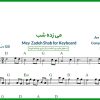 نت کیبورد می زده شب از مرضیه