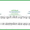 نت سه تار می زده شب از مرضیه