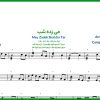 نت تار می زده شب از مرضیه