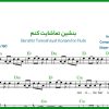 نت فلوت بنشین تماشایت کنم از گرشاسبی