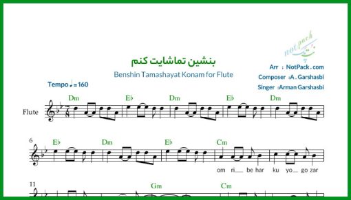 نت فلوت بنشین تماشایت کنم از گرشاسبی