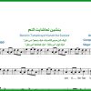 نت سنتور بنشین تماشایت کنم از گرشاسبی