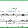 نت ویولن گل مهتاب عرفان طهماسبی