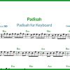 نت کیبورد پادشاه/Padisah از سیبل جانSibel Can