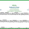 نت سه تار پادشاه/Padisah از سیبل جانSibel Can