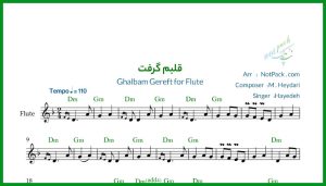 نت فلوت ﻗﻠﺒﻢ ﮔﺮﻓﺖ از هایده