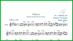 نت فلوت این پدر سوخته دل از معین