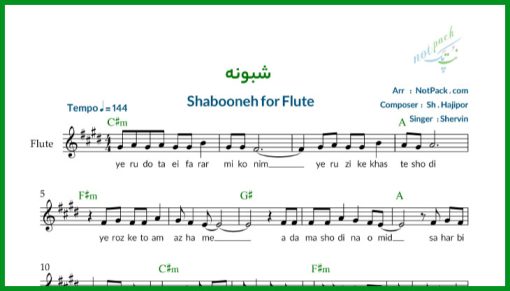 نت فلوت شبونه از شروین حاجی پور