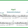 نت کیبورد شبونه از شروین حاجی پور