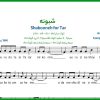 نت تار شبونه از شروین حاجی پور