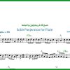 نت فلوت صبح که در پنجرتون وا میشه معین