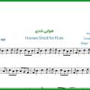 نت فلوت هوایی شدی از محسن یگانه