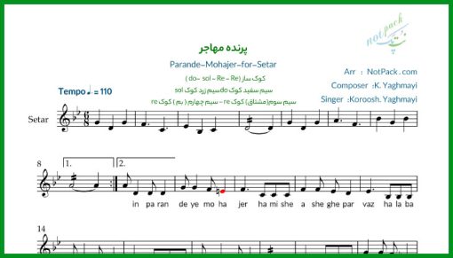 نت سه تار پرنده مهاجر کوروش یغمایی