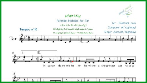 نت تار پرنده مهاجر کوروش یغمایی