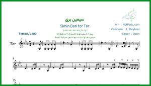 نت تار سیمین بری گل پیکری آری از ویگن