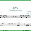 نت فلوت یادگاری از مهدی احمدوند