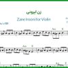 نت ویولن زن ایرونی از ویگن