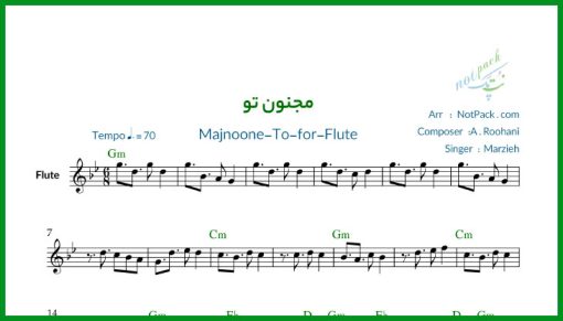 نت فلوت مجنون تو از مرضیه