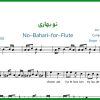 نت فلوت نو بهاری از محسن نامجو