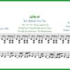 نت تار نو بهاری از محسن نامجو