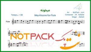 نت فلوت میخونه از الهه