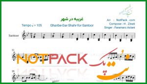 نت سنتور غریبه در شهر از فرامرز اصلانی