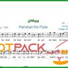 نت فلوت پریشان محسن چاوشی