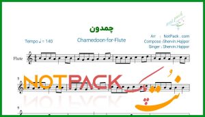 نت فلوت چمدون شروین حاجی پور
