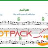 نت گیتار هم قسم معین