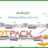 نت فلوت شبای رفتن تو معین
