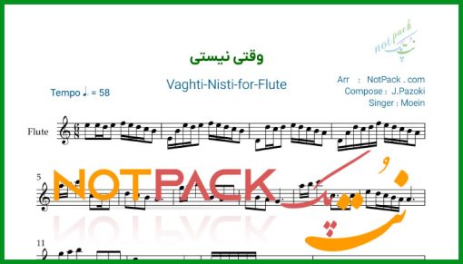 نت فلوت وقتی نیستی معین