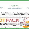 نت گیتار شاه دوماد ویگن