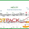 نت فلوت تا از در اومد معین