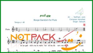 نت فلوت بوی گندم داریوش