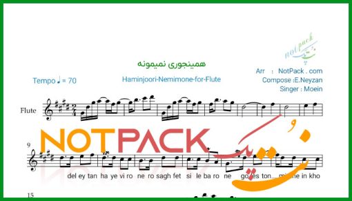 نت فلوت همینجوری نمیمونه از معین